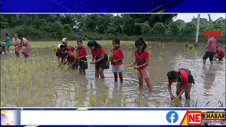 🛑 গোৱালপাৰাৰ দুধনৈ শিক্ষাখণ্ড ব্যতিক্ৰমী শিক্ষানুষ্ঠান ধূপধৰাৰ ৮৬৩ নং পুঠিমাৰী প্ৰাথমিক বিদ্যালয়ৰ ভুই ৰুবলৈ যাওঁ শীৰ্ষক কৰ্মসূচী ৰূপায়ন কৰে।
গোৱালপাৰাৰ পৰা চিন্টু নাথৰ ৰিপৰ্ট
#nekhabar #assam #goalpara #dhupdhara #school