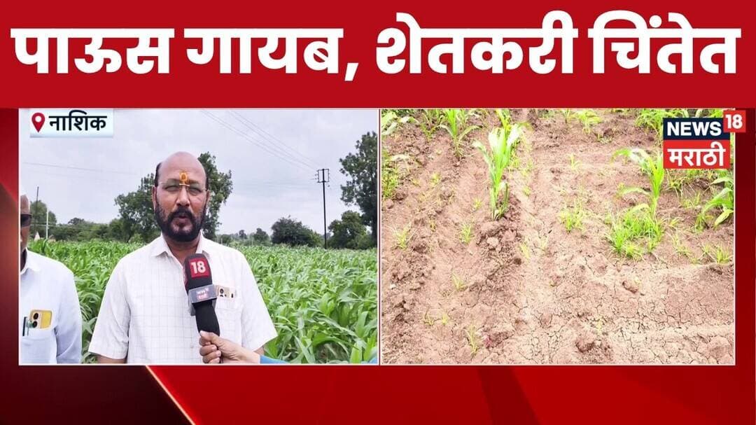Nashik Manmad News | नाशिक जिल्ह्यात पाऊस गायब, पिकांचं नुकसान, शेतकरी चिंतेत | Marathi News