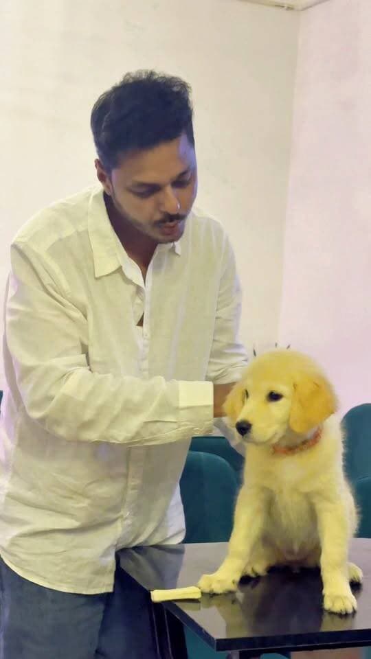 🐶 Bhilai Ka Pet-Friendly Cafe | Hush Cafe Bhilai