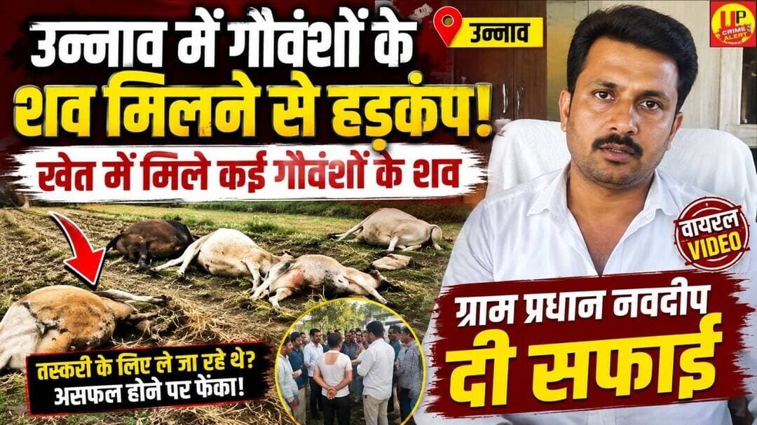 Unnao Breaking News: उन्नाव में गौवंशों के शव मिलने से मचा हड़कंप #ViralVideo #gauseva #unnaonews
