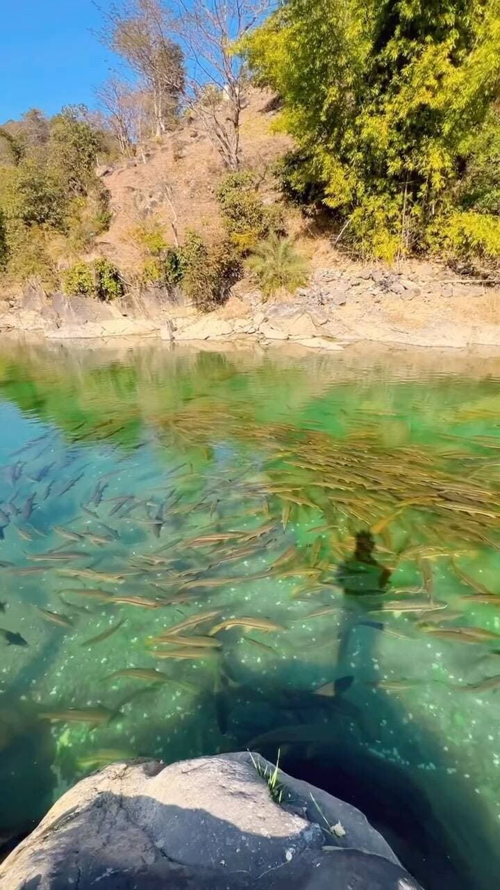MINI VLOG 🎥
Jai Shree ram 🙏🧿🚩
.
.
#jogindernagar #vlogger #instatravel #explorer #chotikashimandi