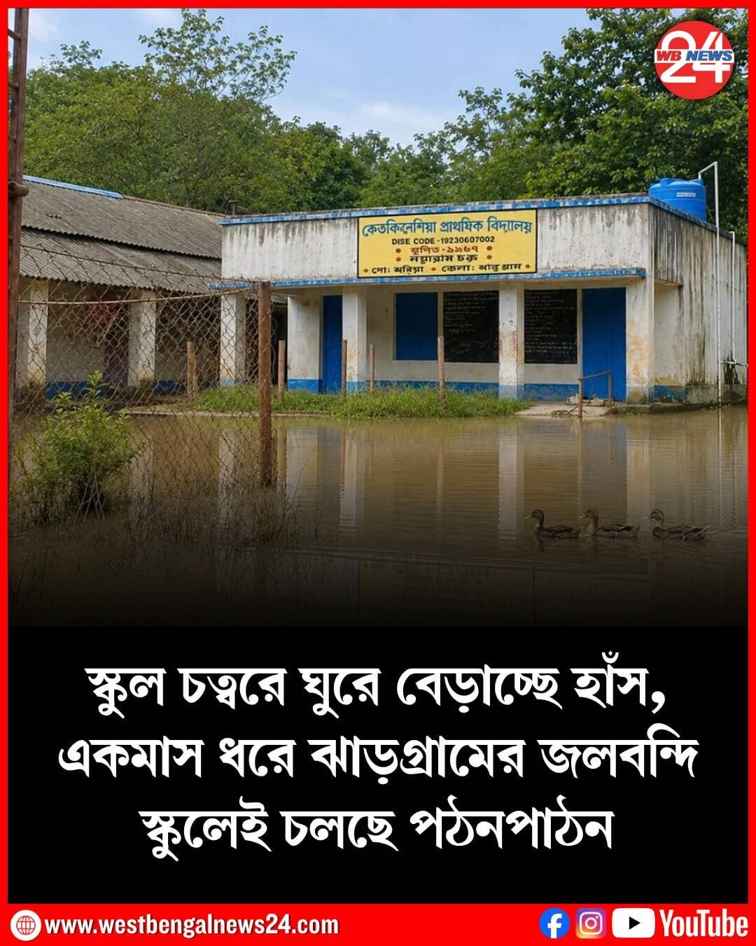 গত প্রায় একমাস ধরে জলবন্দি স্কুল। রয়েছে এক হাঁটু জল। স্কুল চত্বরে ঘুরে বেড়াচ্ছে হাঁস। জমে থাকা গন্ধযুক্ত নোংরা জল পেরিয়েই পিঠে ব্যাগ নিয়ে স্কুলে আসছে খুদে পড়ুয়ারা। রান্না ঘরেও জমেছে জল। এই অস্বাস্থ্যকর পরিবেশে বারান্দাতেই রান্না হচ্ছে মিড ডে মিল। ব্লক প্রশাসন এবং বিদ্যালয় কর্তৃপক্ষকে জানানো হলেও জমা জল বের করার কোনও উদ্যোগ নেওয়া হয়নি বলে অভিযোগ উঠেছে।
জানা গিয়েছে, প্রায় এক মাস ধরে একই পরিস্থিতি চলছে ঝাড়গ্রাম জেলার নয়াগ্রাম ব্লকের কেতকীনেশিয়া প্রাথমিক বিদ্যালয়ে। স্কুলের চারপাশে জল থইথই করছে। তার মধ্যেই ঝুঁকি নিয়ে প্রতিদিন স্কুলে আসছে পড়ুয়ারা। পরিস্থিতি এতটাই খারাপ যে, প্রথমদিকে স্থানীয় একটি ক্লাবঘরে অস্থায়ীভাবে ক্লাস নেওয়ার ব্যবস্থা করেছিলেন শিক্ষক শিক্ষিকারা। কিন্তু ওই ক্লাবঘরে মৌমাছির বাসা থাকায় এক সপ্তাহ পর ছাত্রছাত্রীদের নিরাপত্তার কথা ভেবে ফের বিদ্যালয়েই ক্লাস শুরু করতে হয়। বর্তমানে জলমগ্ন বিদ্যালয় চত্বরেই কোনওরকমে পঠনপাঠন চলছে। অভিযোগ, গত বছর বিদ্যালয়ের পাশের রাস্তাটি কংক্রিটের করা হয়। এরপর থেকেই রাস্তার জল নিষ্কাশনের সমস্যা আরও বেড়েছে। বিদ্যালয়ের পাশে জমে থাকা জল আর বের হতে পারছে না। দীর্ঘদিন ধরে জল জমে থাকায় দুর্গন্ধ ছড়িয়েছে। তৈরি হয়েছে অস্বাস্থ্যকর পরিবেশ। তার মধ্যেই পড়ুয়াদের যাতায়াত করতে হচ্ছে।
বিদ্যালয় সূত্রে জানা গিয়েছে, স্কুলে মোট ৩৬ জন ছাত্রছাত্রী রয়েছে। রয়েছেন দু’জন শিক্ষক এবং একজন প্যারা-টিচার। জল জমে থাকায় শুধু পঠনপাঠনই নয়, মিড ডে মিল রান্না করতেও সমস্যায় পড়তে হচ্ছে। রান্নাঘরে জল ঢুকে যাওয়ায় বিদ্যালয়ের বারান্দাতেই রান্নার কাজ করতে হচ্ছে। বিদ্যালয়ের প্রধান শিক্ষক সত্যব্রত মাহাত বলেন, “দীর্ঘদিন ধরে বিদ্যালয়ের চারপাশে জল জমে রয়েছে। বিষয়টি ব্লক প্রশাসন ও সংশ্লিষ্ট কর্তৃপক্ষকে জানানো হয়েছে। পড়ুয়াদের কথা মাথায় রেখে দ্রুত জল নিষ্কাশনের ব্যবস্থা করা প্রয়োজন।” অভিভাবকদের অভিযোগ, বর্ষার সময় প্রতি বছরই বিদ্যালয়ের সামনে জল জমে সমস্যা তৈরি হয়। কিন্তু এ বার পরিস্থিতি আরও ভয়াবহ। নোংরা জল পেরিয়ে ছোট ছোট পড়ুয়াদের স্কুলে আসতে হচ্ছে। দীর্ঘদিন ধরে জল জমে থাকায় রোগজীবাণু ছড়ানোর আশঙ্কাও রয়েছে। তাই পড়ুয়াদের নিরাপত্তা ও স্বাস্থ্যের কথা মাথায় রেখে দ্রুত বিদ্যালয় চত্বর থেকে জমা জল সরানোর দাবি জানিয়েছেন অভিভাবকরা।