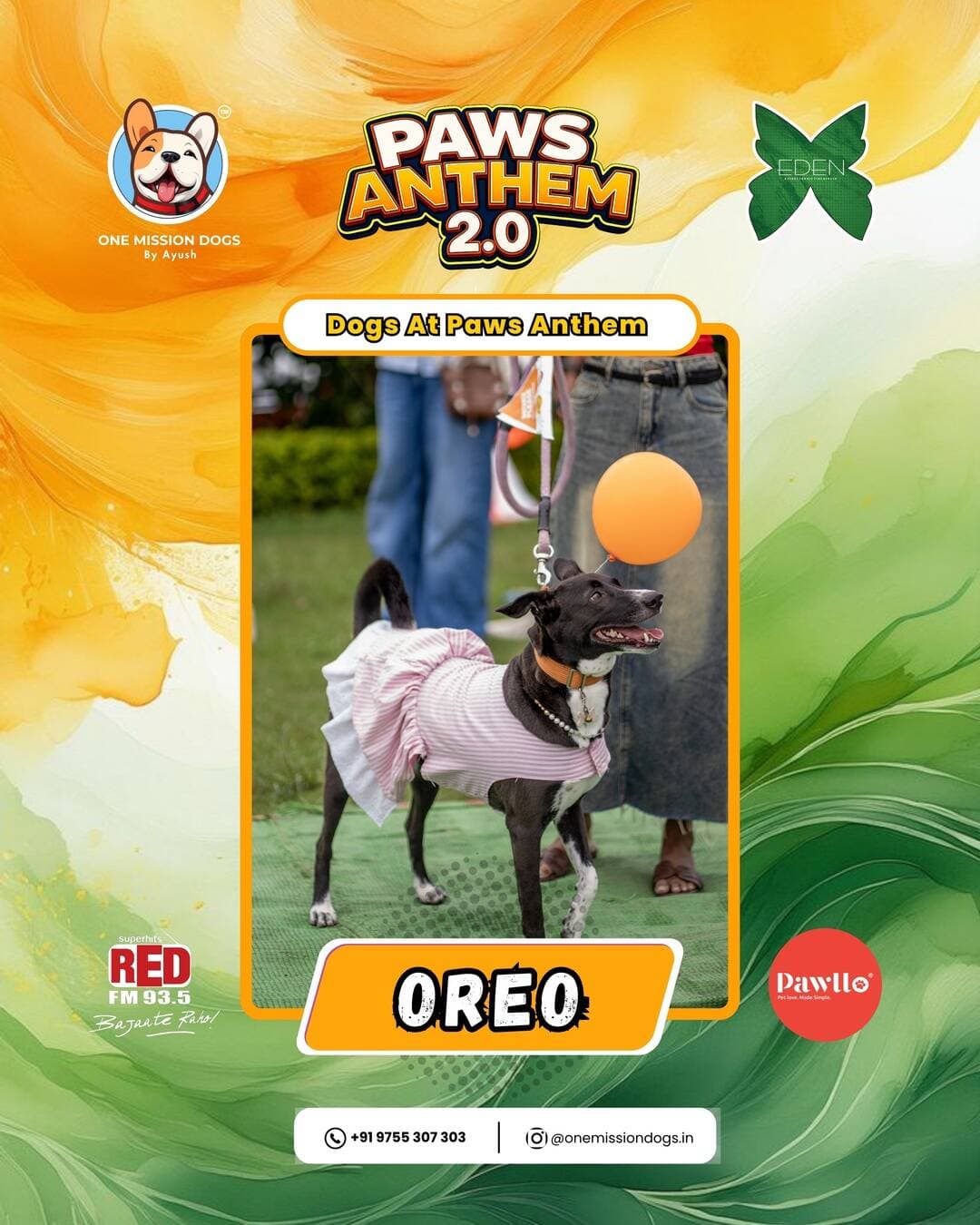 Paws, personalities & pure love! 🐾❤️
A few of the beautiful four-legged stars we met at Paws Anthem 2.0 where each dog with their own personality, energy and story. 🐶✨
But now it’s your turn! 👀
How many different dog breeds can you spot in this carousel?
👇 Comment the breeds you recognise let’s see who can get them all right! 🐕🔥
#onemissiondogs #dogs #doglover #puppies #bhopal