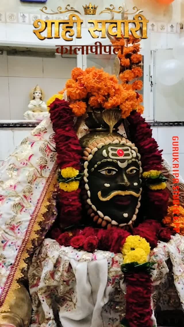 #बाबामहाकालकीशाहीसवारी
#reelsinstagram😍 #कालापीपल#kalapipal❤️ #shajapur