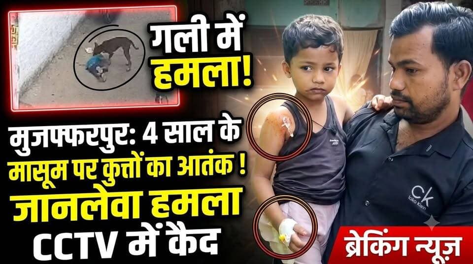 आवारा कुत्तों का आतंक: 4 साल के मासूम पर जानलेवा ह'मला, CCTV में कैद हुई घटना #trending #facebookreels #foryoupageシ #nonfollowers #explore #foryou