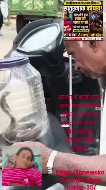 कोरबा में झाड़ी साफ करते समय निकला कोबरा, युवक को डसा; स्नेक कैचर ने बिल खोदकर पकड़ा