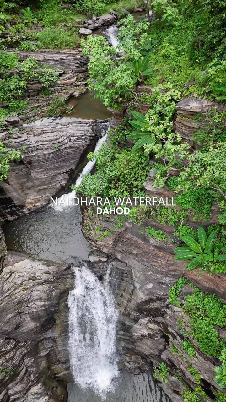 The Untold Beauty of Dahod!😍
One of those underrated places that
makes you wonder — how is this even in Dahod?👀✨
Would you visit this hidden gem? 🤍
#dahod #hiddenwaterfall #ExploreGujarat #GujaratTravel #ourdahod
(Dahod DahodGujarat DahodDiaries GujaratTourism ExploreGujarat GujaratTravel HiddenGujarat HiddenWaterfall Waterfall WaterfallLovers MonsoonVibes MonsoonInGujarat NatureReels TravelReels ExploreMore OffbeatGujarat IncredibleIndia TravelIndia ReelsIndia ExploreIndia dhanpur)