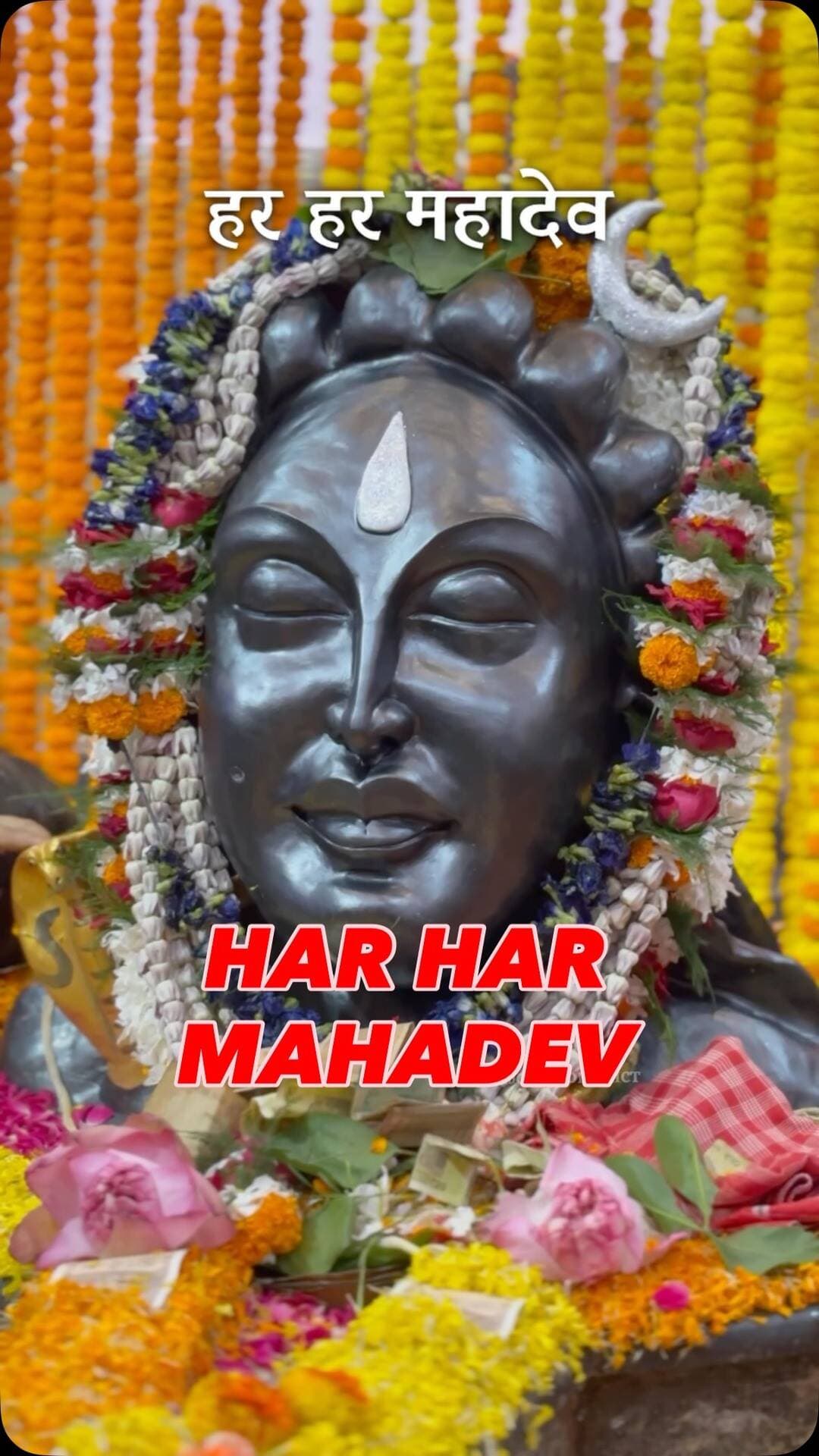 हर हर महादेव।
#gaya #bihar #adiyogi #adiyogimahadev🔱☘️🙏❤️🙏 #ʜᴀʀʜᴀʀᴍᴀʜᴀᴅᴇᴠ🙏🌿🕉️