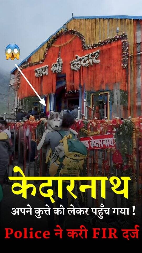 एक Couple अपने कुत्ते को लेकर केदारनाथ पहुँच जाता हैं | Reached Kedarnath along with his Dog #kedarnath #kedarnathtemple