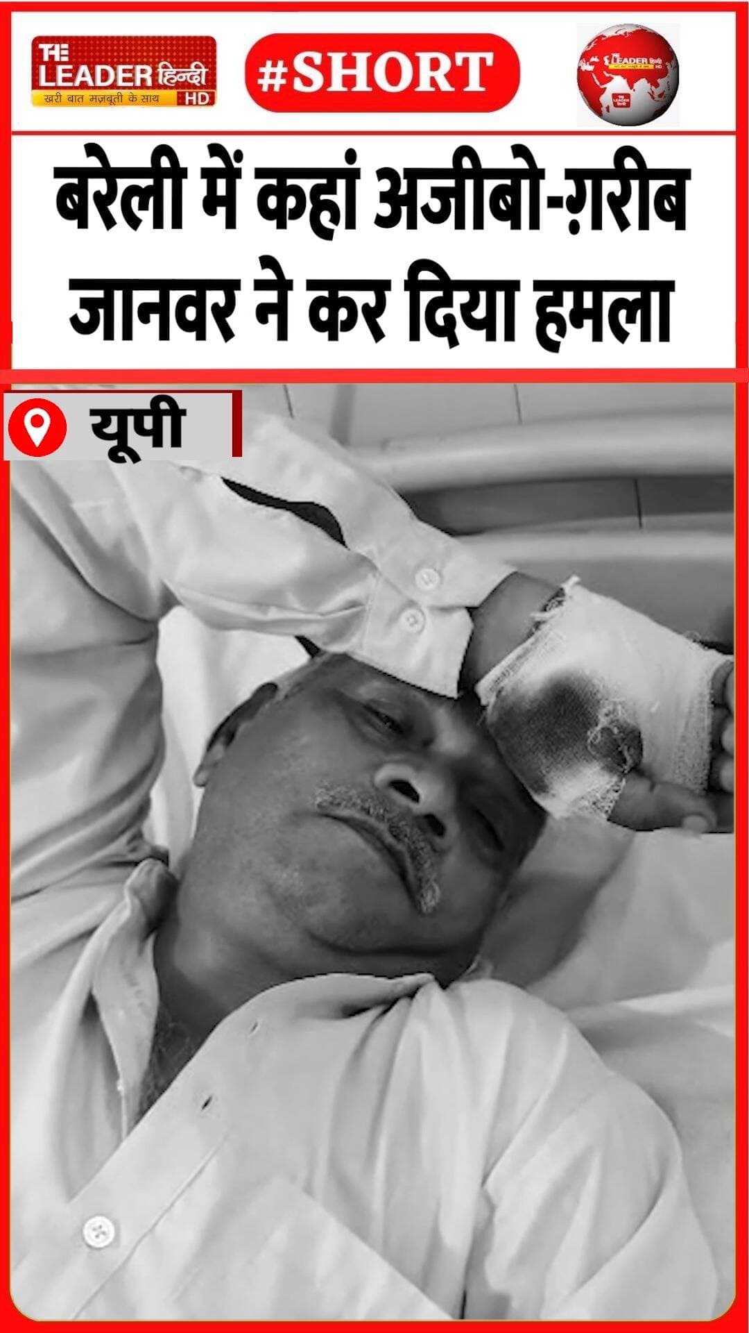 बुज़ुर्ग और बच्ची गंभीर रूप से घायल | 25 Aug 2026 | #bareilly #upnews #animal #janwar #shorts #viral