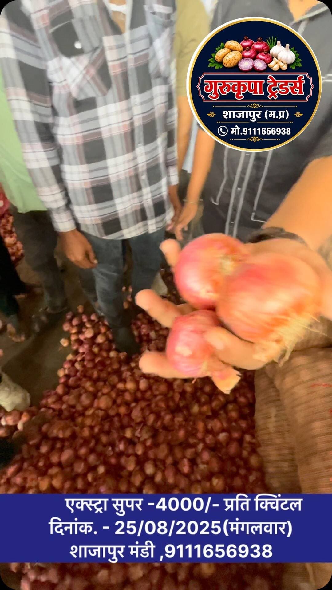#shajapurmandibhav#aajkabhav#indoremandibhav#onion