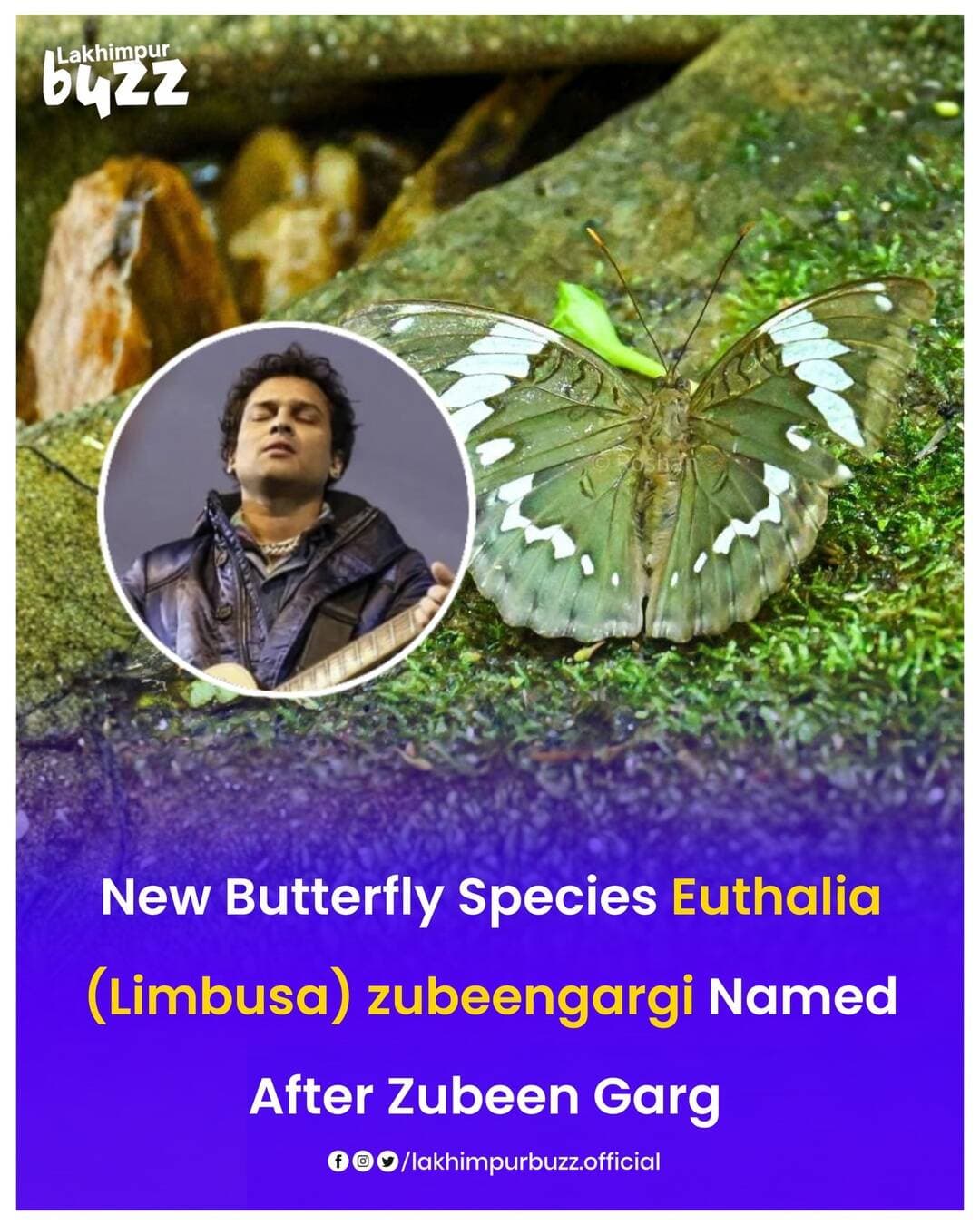 #News || A newly discovered butterfly species, Euthalia (Limbusa) zubeengargi, has been named after Assamese icon Zubeen Garg, marking a proud moment for Northeast India.
The species was found in the Basar region of Leparada district in Arunachal Pradesh by researchers and nature enthusiasts.
Scientists recorded only two individuals, making the butterfly extremely rare and raising concerns about its population and conservation.
It lives in cool, shaded forest areas and is known for its olive-brown wings with delicate white patterns.
.
.
.
.
.
#zubeengarg #zubeenda #zubeengargmusic #lakhimpurbuzz