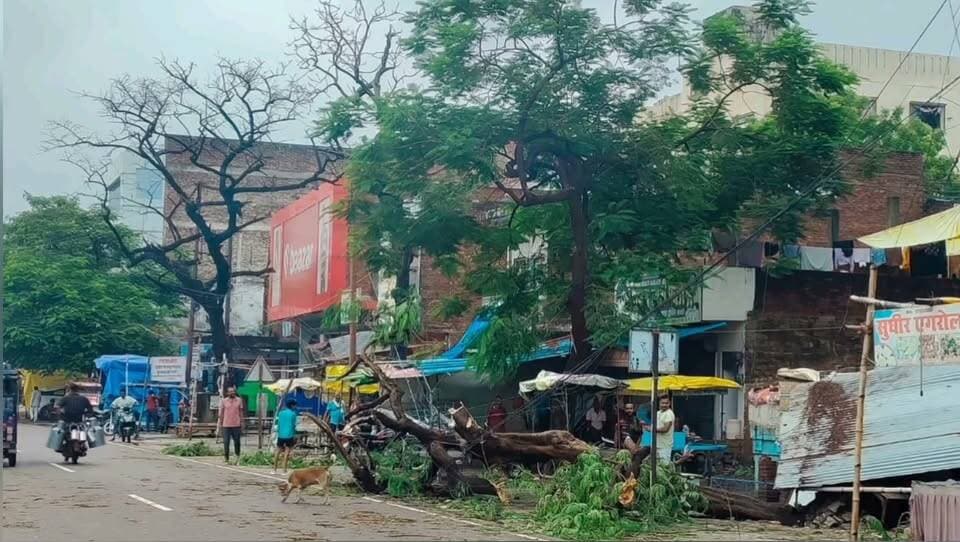 रातभर बारिश से आजमगढ़ बेहाल, ट्रक पलटा और बिजली के तारों पर गिरा पेड़सुबह तक रुक-रुककर होती रही बारिश, जगह-जगह जलभराव से बढ़ी परेशानी; डीएम ने परिषदीय विद्यालयों में छुट्टी के दिए निर्देश
https://abckhabar.in/?p=7752
