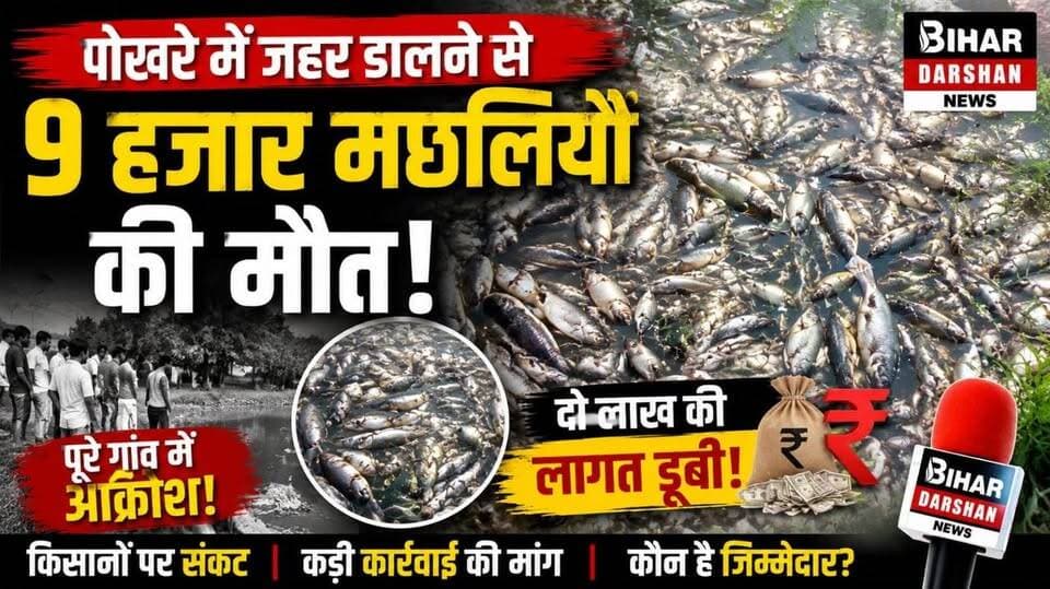 पोखरे में जहर डालने से 9 हजार मछलियों की मौत, दो लाख की लागत डूबी