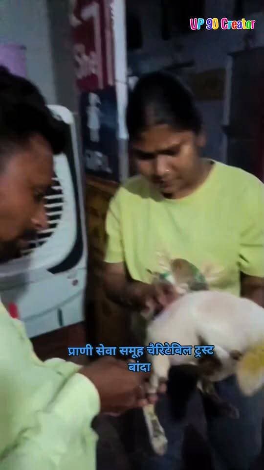 घायल पप्पी का इलाज कर प्राणी सेवा समूह ने पेश की मानवता की मिसाल
बांदा : एक घायल पप्पी के होने की जानकारी मिलने पर प्राणी सेवा समूह चैरिटेबल ट्रस्ट, बांदा की टीम ने तत्परता दिखाते हुए मौके पर पहुंचकर उसका उपचार कराया।
ट्रस्ट के संस्थापक श्री सुरेंद्र सोनी के नेतृत्व में टीम ने घायल पप्पी की स्थिति का निरीक्षण किया। अनुभवी चिकित्सक की मौजूदगी में आवश्यक उपचार किया गया और उसकी देखभाल सुनिश्चित की गई।
टीम द्वारा मौके पर पहुंचकर घायल पप्पी की मदद करना पशु सेवा के प्रति समर्पण को दर्शाता है। प्राणी सेवा समूह चैरिटेबल ट्रस्ट की टीम लंबे समय से घायल, बीमार और बेसहारा पशुओं की सेवा में जुटी हुई है।
स्थानीय लोगों ने भी टीम के इस सेवाभावी प्रयास की सराहना की। ऐसे मानवीय प्रयास समाज में पशु प्रेम और संवेदनशीलता का संदेश देते हैं।
#प्राणीसेवा #Banda #AnimalRescue #पशुसेवा #SurendraSoni