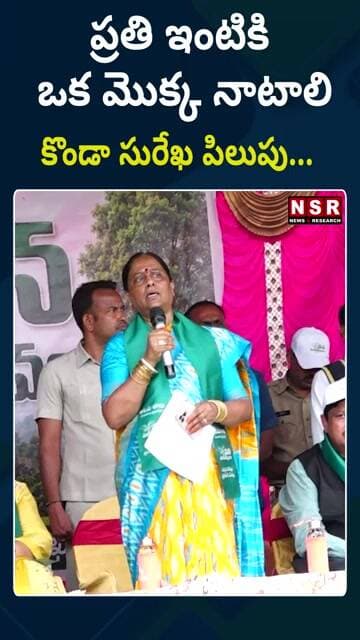ప్రతి ఇంటికి ఒక మొక్క నాటాలి కొండా సురేఖ పిలుపు... | NSR NEWS