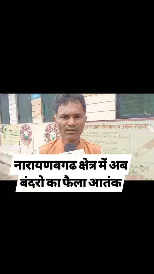 @topfans #monkey #ChamoliUttarakhand #narayanbagad