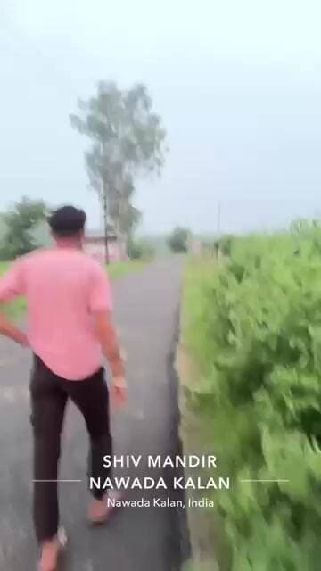 हापुड़- नवादा कला रोड पर तेंदुआ दिखने से दहशत #shorts #vairalvideo