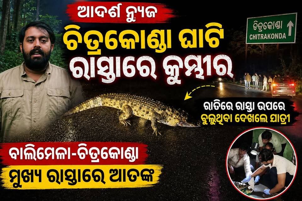 ଚିତ୍ରକୋଣ୍ଡା ଘାଟି ରାସ୍ତାରେ କୁମ୍ଭୀର
ରାତିରେ ରାସ୍ତା ଉପରେ ବୁଲୁଥିବା ଦେଖିଲେ ଯାତ୍ରୀ
ବାଲିମେଳା-ଚିତ୍ରକୋଣ୍ଡା ମୁଖ୍ୟ ରାସ୍ତାରେ ଆତଙ୍କ