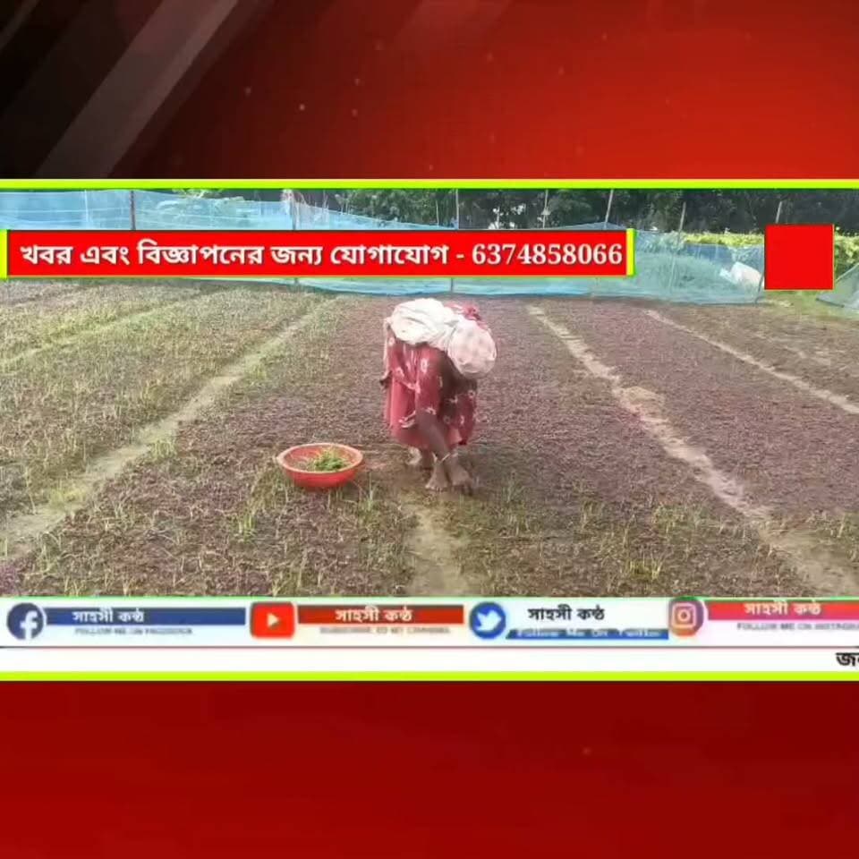 সোনামুড়ায় সামান্য বৃষ্টিতেই জলমগ্ন কৃষিজমি: ছড়া সংস্কার ও কালভার্ট নির্মাণের দাবিতে সরব রাঙ্গামাটিয়ার কৃষকরা।
