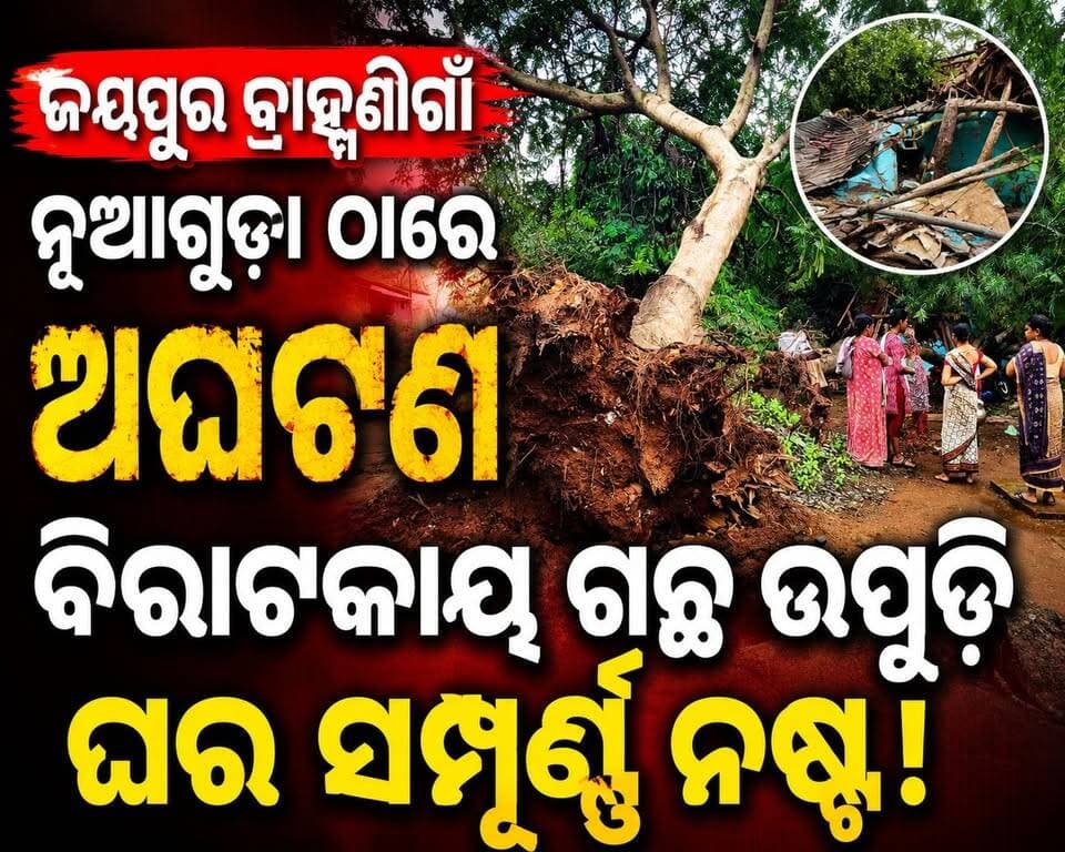 ଜୟପୁର ବ୍ରାହ୍ମଣିଗାଁ ନୁଆଗୁଡା ଠାରେ ଅଘଟଣ, ଗତକାଲି ବିଳମ୍ବିତ ରାତିରେ ଜଣେ ବ୍ୟକ୍ତିଙ୍କ ଘର ଉପରେ ବିରାଟକାୟ ଗଛ ପଡ଼ି ଘର ସମ୍ପୂର୍ଣ୍ଣ ନଷ୍ଟ ହେବା ସହ ଟିଭିଏସ୍ ବାଇକ୍ ମଧ୍ୟ ନଷ୍ଟ ହୋଇଛି। ସରକାରୀ ସହାୟତା ପାଇଁ ଗୁହାରୀ କଲେ ପରିବାର ଲୋକେ।