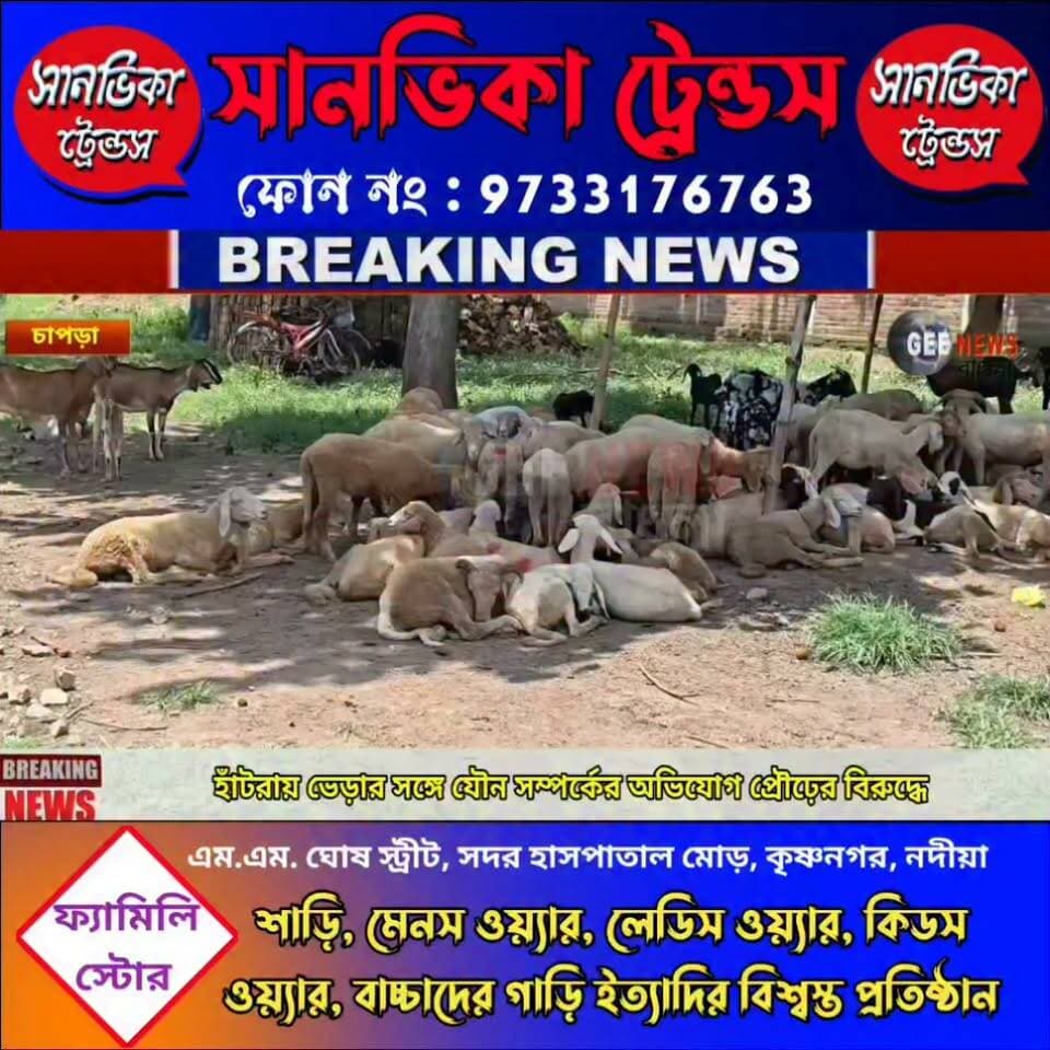 পশুর সাথে পাশবিক আচরণ মানুষের! CC ক্যামেরার ফুটেজে কুকীর্তির পর্দা ফাঁস, চাপড়ার হাঁটরার ঘটনায় নিন্দার ঝড়