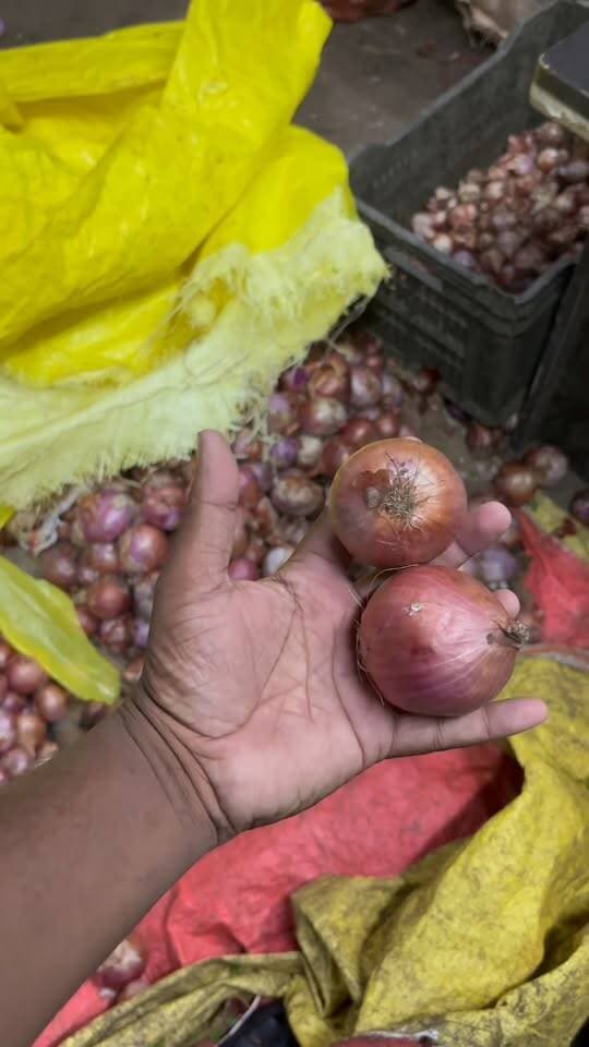 प्याज का थोक भाव झाँसी मंडी #onion #jhansimandibhav #mandibhav #trendingreels #trending