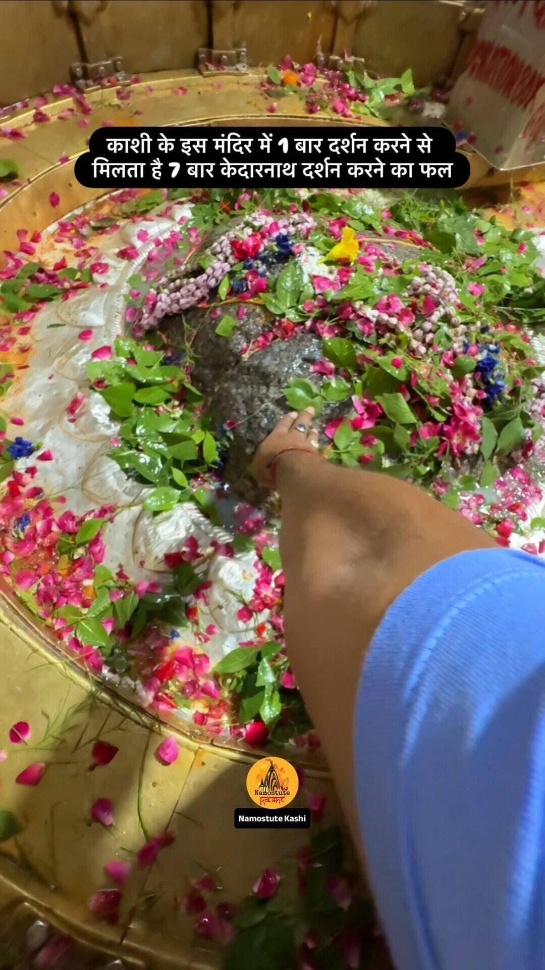 क्या आप Kedarnath दर्शन किए हो?
Follow for more information @NamostuteKashi
Repost NOT Allowed 🚫
#Varanasi #NamostuteKashi #Kedarnath #HiddenTemple #GauriKedareshwar