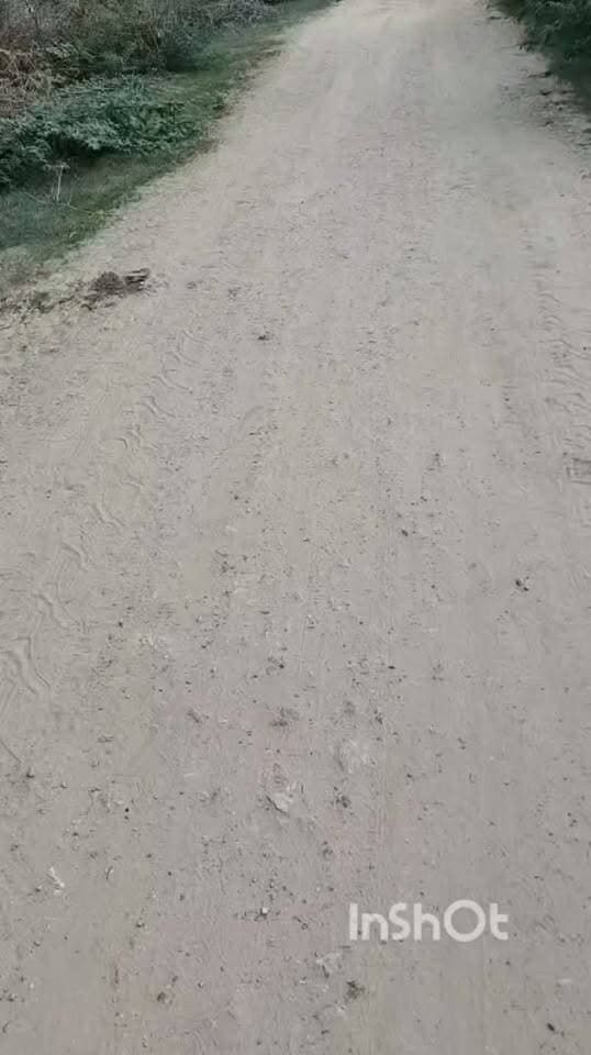 рдЪрд╛рдВрджрд╕реЗрди рдореЗрдВ рдврд╛рдгреА рдХреА рдЬрд░реНрдЬрд░ рд╕рдбрд╝рдХ рдХреЛ рд▓реЗрдХрд░ рдХрд╛рдВрдЧреНрд░реЗрд╕ рд╕реЗрд╡рд╛рджрд▓ рдиреЗ рдЙрдард╛рдИ рдЖрд╡рд╛рдЬ
рдорд╛рдирд╕реВрди рд╕реЗ рдкрд╣рд▓реЗ рдЧреНрд░реЗрд╡рд▓ рд╕рдбрд╝рдХ рдирд┐рд░реНрдорд╛рдг рдХреА рдорд╛рдВрдЧ, рдХрд░реАрдм 250 рдЧреНрд░рд╛рдореАрдгреЛрдВ рдФрд░ рд╕реНрдХреВрд▓реА рд╡рд┐рджреНрдпрд╛рд░реНрдерд┐рдпреЛрдВ рдХреЛ рдЖрд╡рд╛рдЧрдорди рдореЗрдВ рдкрд░реЗрд╢рд╛рдиреА
рдорд╛рд▓рдкреБрд░рд╛ рдЧреНрд░рд╛рдо рдкрдВрдЪрд╛рдпрдд рдЪрд╛рдВрджрд╕реЗрди рдХреА рдврд╛рдгреА рдореЗрдВ рдЬрд░реНрдЬрд░ рд╕рдбрд╝рдХ рдХреА рд╕рдорд╕реНрдпрд╛ рдХреЛ рд▓реЗрдХрд░ рдЯреЛрдВрдХ рдЬрд┐рд▓рд╛ рдХрд╛рдВрдЧреНрд░реЗрд╕ рд╕реЗрд╡рд╛рджрд▓, рдорд╛рд▓рдкреБрд░рд╛-рдЯреЛрдбрд╛рд░рд╛рдпрд╕рд┐рдВрд╣ рд╡рд┐рдзрд╛рдирд╕рднрд╛ рдХреНрд╖реЗрддреНрд░ рдХреЗ рдорд╣рд╛рд╕рдЪрд┐рд╡ рдмрдиреНрдирд╛рд▓рд╛рд▓ рдореАрдгрд╛ рд╡рд╛рд╕рдирд╡рд╛рд▓ рдиреЗ рд╡рд┐рдХрд╛рд╕ рдЕрдзрд┐рдХрд╛рд░реА, рдкрдВрдЪрд╛рдпрдд рд╕рдорд┐рддрд┐ рдорд╛рд▓рдкреБрд░рд╛ рдХреЛ рдЬреНрдЮрд╛рдкрди рд╕реМрдВрдкрдХрд░ рд╕рдбрд╝рдХ рдХрд╛ рдирд┐рд░реНрдорд╛рдг рдХрд░рд╛рдиреЗ рдХреА рдорд╛рдВрдЧ рдХреА рд╣реИред
рдЬреНрдЮрд╛рдкрди рдореЗрдВ рдмрддрд╛рдпрд╛ рдЧрдпрд╛ рдХрд┐ рдЧреНрд░рд╛рдо рдкрдВрдЪрд╛рдпрдд рдЪрд╛рдВрджрд╕реЗрди рдХреА рд╡рд╛рд╕рдирд╡рд╛рд▓реЛрдВ рдХреА рдврд╛рдгреА рдореЗрдВ рдЕрдиреБрд╕реВрдЪрд┐рдд рдЬрдирдЬрд╛рддрд┐ (ST) рд╡рд░реНрдЧ рдХреЗ рдХрд░реАрдм 250 рд▓реЛрдЧ рдирд┐рд╡рд╛рд╕ рдХрд░рддреЗ рд╣реИрдВред рдкрд┐рдЫрд▓реЗ рд╡рд░реНрд╖ рдорд╛рдирд╕реВрди рдХреЗ рджреМрд░рд╛рди рдЕрддреНрдпрдзрд┐рдХ рдмрд╛рд░рд┐рд╢ рдХреЗ рдХрд╛рд░рдг рдврд╛рдгреА рдХреА рдЧреНрд░реЗрд╡рд▓ рд╕рдбрд╝рдХ рдЬрдЧрд╣-рдЬрдЧрд╣ рд╕реЗ рдЯреВрдЯ рдЧрдИ рдереАред рдЧреНрд░рд╛рдореАрдгреЛрдВ рдХреА рдУрд░ рд╕реЗ рдЗрд╕рдХреА рд╢рд┐рдХрд╛рдпрдд рдЧреНрд░рд╛рдо рдкрдВрдЪрд╛рдпрдд рдХреЛ рднреА рджреА рдЧрдИ, рд▓реЗрдХрд┐рди рдЕрдм рддрдХ рд╕рдбрд╝рдХ рдХреА рдорд░рдореНрдордд рдпрд╛ рдирд┐рд░реНрдорд╛рдг рдХреЗ рд▓рд┐рдП рдкреНрд░рднрд╛рд╡реА рдХрд╛рд░реНрд░рд╡рд╛рдИ рдирд╣реАрдВ рд╣реЛрдиреЗ рдХрд╛ рдЖрд░реЛрдк рд▓рдЧрд╛рдпрд╛ рдЧрдпрд╛ рд╣реИред
рдЬреНрдЮрд╛рдкрди рдореЗрдВ рдХрд╣рд╛ рдЧрдпрд╛ рдХрд┐ рд╕рдбрд╝рдХ рдХреА рдЦрд░рд╛рдм рд╕реНрдерд┐рддрд┐ рдХреЗ рдХрд╛рд░рдг рдврд╛рдгреА рдореЗрдВ рд░рд╣рдиреЗ рд╡рд╛рд▓реЗ рдЫрд╛рддреНрд░-рдЫрд╛рддреНрд░рд╛рдУрдВ рдФрд░ рдЧреНрд░рд╛рдореАрдгреЛрдВ рдХреЛ рдЖрд╡рд╛рдЧрдорди рдореЗрдВ рдХрд╛рдлреА рдкрд░реЗрд╢рд╛рдиреА рдХрд╛ рд╕рд╛рдордирд╛ рдХрд░рдирд╛ рдкрдбрд╝рддрд╛ рд╣реИред рдмрд╛рд░рд┐рд╢ рдХреЗ рдореМрд╕рдо рдореЗрдВ рд╕рдорд╕реНрдпрд╛ рдФрд░ рдЧрдВрднреАрд░ рд╣реЛ рдЬрд╛рддреА рд╣реИред рдЧреНрд░рд╛рдореАрдгреЛрдВ рдХреЗ рдЕрдиреБрд╕рд╛рд░ рдЙрдХреНрдд рд░рд╛рд╕реНрддреЗ рдХреЗ рдЕрд▓рд╛рд╡рд╛ рдЖрд╡рд╛рдЧрдорди рдХреЗ рд▓рд┐рдП рдХреЛрдИ рджреВрд╕рд░рд╛ рд╕реБрд╡рд┐рдзрд╛рдЬрдирдХ рдорд╛рд░реНрдЧ рднреА рдЙрдкрд▓рдмреНрдз рдирд╣реАрдВ рд╣реИред
рдХрд╛рдВрдЧреНрд░реЗрд╕ рд╕реЗрд╡рд╛рджрд▓ рдХреА рдУрд░ рд╕реЗ рд╡рд┐рдХрд╛рд╕ рдЕрдзрд┐рдХрд╛рд░реА рд╕реЗ рдорд╛рдВрдЧ рдХреА рдЧрдИ рдХрд┐ рдЖрдЧрд╛рдореА рдмрд╛рд░рд┐рд╢ рдХреЗ рдореМрд╕рдо рдХреЛ рджреЗрдЦрддреЗ рд╣реБрдП рдорд╛рдирд╕реВрди рд╢реБрд░реВ рд╣реЛрдиреЗ рд╕реЗ рдкрд╣рд▓реЗ рдЧреНрд░реЗрд╡рд▓ рд╕рдбрд╝рдХ рдХрд╛ рдирд┐рд░реНрдорд╛рдг/рд╕реБрджреГрдврд╝реАрдХрд░рдг рдХрд░рд╛рдпрд╛ рдЬрд╛рдП, рддрд╛рдХрд┐ рдврд╛рдгреАрд╡рд╛рд╕рд┐рдпреЛрдВ рдФрд░ рд╡рд┐рджреНрдпрд╛рд░реНрдерд┐рдпреЛрдВ рдХреЛ рдЖрд╡рд╛рдЧрдорди рдореЗрдВ рд░рд╛рд╣рдд рдорд┐рд▓ рд╕рдХреЗред
рдЬреНрдЮрд╛рдкрди рдХреЗ рдорд╛рдзреНрдпрдо рд╕реЗ рдкреНрд░рд╢рд╛рд╕рди рд╕реЗ рдЧреНрд░рд╛рдореАрдгреЛрдВ рдХреА рд╕рдорд╕реНрдпрд╛ рдХреЛ рдЧрдВрднреАрд░рддрд╛ рд╕реЗ рд▓реЗрддреЗ рд╣реБрдП рдЬрд▓реНрдж рдХрд╛рд░реНрд░рд╡рд╛рдИ рдХреА рдорд╛рдВрдЧ рдХреА рдЧрдИ рд╣реИред