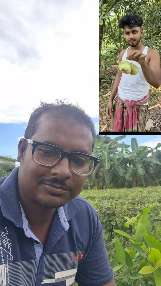 গ্রিন জাম্ব জামরুল চাষে সাফল্য বাংলাতে