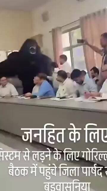 सोनीपत जिला परिषद की बैठक में घुसा गोरिल्ला #Sonipat#SonipatNews #HaryanaNews#DelhiNCR #DainikJagruk