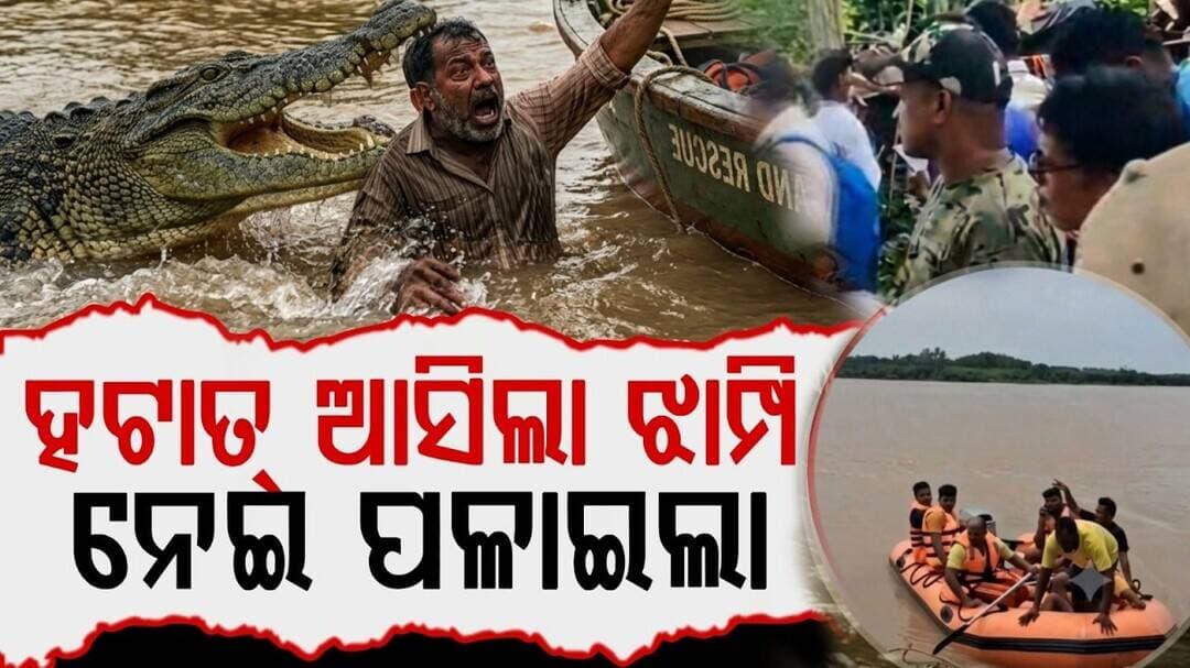 ରାଜକନିକାରେ ବନ୍ୟା ଭିତରେ କୁମ୍ଭୀର ଆତଙ୍କ || rocodile Panic Amid Floods in Rajkanika | People in Fear