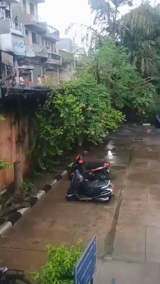 बारिश का कहर! संगम विहार में स्कूल की दीवार गिरी
भारी बारिश के बीच दिल्ली के संगम विहार स्थित हमदर्द पब्लिक स्कूल की दीवार भरभराकर गिर गई। घटना से इलाके में हड़कंप मच गया।