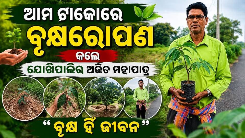ଆମଟାକୋରେ ବୃକ୍ଷରୋପଣ କଲେ ଯୋଖିପାଳିର ଅଜିତ ମହାପାତ୍ର
#PadampurTv
#everyonefollowers
#dmbargarh
#highlight
#viralreelschallenge
#Bijepur
#bargarh28_