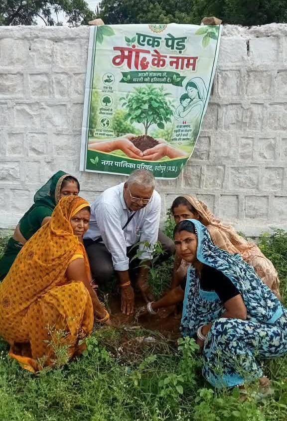 नमो उपवन में पौधरोपण
-----
कलेक्टर सुश्री शीला दाहिमा के मार्गदर्शन में अमृत हरित महा अभियान एवं एक पेड़ मां के नाम अभियान अंतर्गत पौधरोपण किया जा रहा है इसी क्रम में सीएमओ श्री नरेन्द्र जाटव के निर्देशन में आज स्टेडियम परिसर स्थित नमो उपवन में शहरी आजीविका मिशन की महिलाओं द्वारा वृक्षारोपण किया गया, इस दौरान अशोक, चांदनी, आंवला, करंज आदि के पौधे रोपे गए।
इस अवसर पर नगर पालिका परिषद श्योपुर के अभियान नोडल अधिकारी श्री आदित्य चौहान, आजीविका मिशन के श्री नीरज निगम, श्री इश्तियाक कुरैशी, नगर पालिका के कर्मचारी श्री ओम सुमन, श्री संदीप कतरोलिया, श्री प्रदीप कतरोलिया, श्री महावीर सुमन, श्री रिंकू प्रजापति आदि उपस्थित रहे।
-
CM Madhya Pradesh
Jansampark Madhya Pradesh
#JansamparkMP
#sheopur