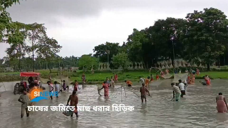 চাষের জমিতে মাছ ধরার হিড়িক, তপসিখাতায় ফিরে এল গ্রামবাংলার পুরনো দিনের ছবি