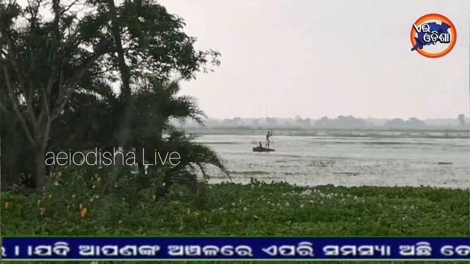 #ବୈତରଣୀ_ଓ_ଖରସ୍ରୋତାରେ_ବନ୍ୟା_ଆସିବା_ଫଳରେ_ବେହାଲ_ଦଶରଥପୁର_ବ୍ଲକବାସୀ
ବୈତରଣୀ ଓ ଖରସ୍ରୋତାରେ ବନ୍ୟାଜଳ ହ୍ରାସ ପାଇଥିଲେ ମଧ୍ୟ ଅବସ୍ଥା ସ୍ୱବାଭିକ ହୋଇନାହିଁ। ଉଭୟ ନଦୀରେ ବନ୍ୟା ଆସିବା ଫଳରେ ଦଶରଥପୁର ବ୍ଳକର ୧୯ ଗ୍ରାମପାୟତର ୬୨ଟି ଗାଁ ପ୍ରଭାବିତ ହୋଇଛି। ଏବେବି ଦଶରଥପୁର ବ୍ଲକର ର ଆନେକ ଗାଁ ରେ ଲୋକେ ଜଳବନ୍ଦୀ ହୋଇ ରହିଥିବା ବେଳେ ବ୍ୟାପକ ଚାଷଜମି ମଧ୍ୟ ଜଳମଗ୍ନ ହୋଇରହିଛି। ଫଳରେ ଧାନ ଓ ପନିପରିବା ଫସଲ ସମ୍ପୂର୍ଣ୍ଣ ଉଜୁଡ଼ି ଯାଇଥିବା ସହ ତଳିଆ ଅଞ୍ଚଳରେ ସ୍ଥିତି ଗମ୍ଭୀର ଥିବା ବେଳେ ଅନେକ ଗୁଡିଏ ଗାଁ ଦାଣ୍ଡରେ ଲହଡି ମାରୁଛି ବନ୍ୟାଜଳ। ବନ୍ୟାରେ ବହୁ ବିପନ୍ନ ସେମାନଙ୍କ ବାସ ହରାଇ କିଏ ପଡ଼ୋଶୀ ଘରେ ତ ଆଶ୍ରୟସ୍ଥଳୀରେ ଜୀବନ ବିତାଉଛନ୍ତି। ପ୍ରଶାସନ ପକ୍ଷରୁ ସେମାନଙ୍କ ପାଇଁ ରନ୍ଧାଖାଦ୍ୟ ଯୋଗାଇ ଦିଆଯାଉଥିଲେ ମଧ୍ୟ ଏହା ସମୁଦ୍ରକୁ ଶଙ୍ଖେ ହେଉଥିବା ଅଭିଯୋଗ କରିଛନ୍ତି ବିପନ୍ନ। ଅନ୍ୟପଟେ ଯାଜପୁର ଜିଲ୍ଲାରେ ବନ୍ୟା ଓ ଲଗାଣ ବର୍ଷା ପ୍ରଭାବରେ ପୁଣି ପ୍ରଭାବିତ ଅଞ୍ଚଳରେ ଆଜି ପାଇଁ ବିଦ୍ୟାଳୟ ଛୁଟି ଘୋଷଣା ହୋଇଛି। ଜିଲ୍ଲାର ଦଶରଥପୁର, ବିଂଝାରପୁର ଓ ବରୀ ବ୍ଲକ ସମେତ ୮ଟି ବ୍ଲକର ମୋଟ ୧୬୨ଟି ବିଦ୍ୟାଳୟକୁ ଛୁଟି ଘୋଷଣା କରିଛନ୍ତି ଜିଲ୍ଲାପାଳ। ଜିଲ୍ଲା ଶିକ୍ଷା ଅଧିକାରୀଙ୍କ ଦ୍ୱାରା ଜାରି ହୋଇଛି ଏହି ବିଜ୍ଞ୍ୟପ୍ତି।
#floodrelief #JajpurFlood #lntvnetwork #JajpurNews #jajpurkhabar
