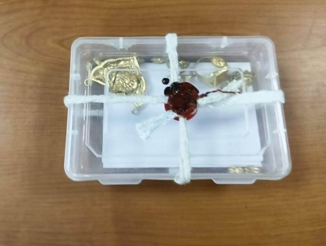 थाना थाटीपुर पुलिस की चोर के खिलाफ कार्यवाही
सूने मकान में सोने-चांदी के जेवरात की चोरी करने वाले पूर्व किरायेदार को थाटीपुर पुलिस ने चोरी के माल सहित किया गिरफ्तार
ग्वालियर। 25.08.2026। वरिष्ठ पुलिस अधीक्षक ग्वालियर श्री धर्मवीर सिंह,भापुसे द्वारा चोरी व नकबजनी की घटनाओं पर अंकुश लगाकर चोरांे को पकड़ने हेतु जिले के समस्त थाना प्रभारियों को निर्देशित किया गया है। वरिष्ठ पुलिस अधीक्षक ग्वालियर के निर्देशों के अनुक्रम में अति. पुलिस अधीक्षक(मध्य/यातायात) ग्वालियर श्री सुजावल जग्गा(भापुसे) द्वारा अपने अधीनस्थ समस्त थाना प्रभारियों को थाना क्षेत्र में हुई चोरी व नकबजनी की घटनाओं का खुलासा कर आरोपियों को पकड़ने हेतु निर्देशित किया गया।
घटना का संक्षिप्त विवरण:- फरियादी सत्येन्द्र याज्ञिक निवासी गोपालपुरा थाना थाटीपुर ग्वालियर ने थाना पर रिपोर्ट लेख कराई थी कि दिनांक 23.08.2026 को दोपहर के समय वह घर का ताला लगा कर बाजार चला गया था। शाम करीवन 06.00 बजे जब वह वापस घर आया तो मेरे मकान के जंगला का सरिया टूटा देखा, तो मैंने कमरे के अंदर जाकर देखा तो सामान विखरा पड़ा था। जब मैने अपने दीवान बैड में रखे बॉक्स को चेक किया तो उसमें रखे सोने की चेन, झुमकी, अंगूठी तीन चाँदी की पायल, बिछिया नही मिले, मेरे मकान में तीन माह पूर्व से किरायेदार दीपक दुबे रह रहा था। मुझे अपने किरायेदार दीपक दुबे पर संदेह है कि मेरी चोरी दीपक दुबे द्वारा की गई है। फरियादी की रिपोर्ट पर अप0क्र. 300/26 धारा 305(ए),331(3) बीएनएस का प्रकरण पंजीबद्ध कर विवेचना में लिया गया।
वरिष्ठ अधिकारियों के निर्देशानुसार सीएसपी मुरार श्री संदीप बांगरे के मार्गदर्शन में थाना प्रभारी थाटीपुर निरीक्षक विपेन्द्र सिंह चौहान के द्वारा थाना बल की टीम को थाना थाटीपुर के अप0क्र0 300/26 धारा 305(ए),331(3) बीएनएस में वांछित चोरों की पतारसी कर पकड़ने हेतु लगाया गया। दौराने विवेचना पुलिस टीम द्वारा घटना स्थल के सीसीटीवी फुटेज चेक किये गये।
दौराने विवेचना थाना थाटीपुर पुलिस द्वारा उक्त प्रकरण के संदही किरायेदार दीपक दुबे की तलाश की गई, तभी मुखबिर द्वारा सूचना प्राप्त हुई कि उक्त संदेही दीपक दुबे गोपालपुरा फरियादी के मकान के पास में देखा गया है। सूचना पर पुलिस टीम मुखबिर के बताये स्थान पर पहुंचे तो एक व्यक्ति पुलिस को देखकर भागने लगा जिसे हमराह घेरकर पकड़ा और नाम व पता पूछा तो उसने अपना नाम दीपक दुबे पुत्र पंचमलाल दुबे उम्र 27 साल निवासी नेनागढ रोड सिद्धनगर कालोनी थाना सिटी कोतवाली जिला मुरैना का होना बताया।
संदेही दीपक दुबे को अभिरक्षा मे लेकर पूछताछ की तो उसके द्वारा उक्त चोरी की घटना करना स्वीकार किया। पुलिस द्वारा आरोपी की निशादेही पर चोरी गये माल में से 1.50 लाख रूपये कीमती के जेवरात बरामद किये गये हैं। आरोपी को उक्त प्रकरण में विधिवत गिरफ्तार कर माननीय न्यायालय पेश किया गया और पुलिस रिमाण्ड लेकर चोरी के शेष माल के संबंध में विस्तृत पूछताछ की जाएगी।
गिरफ्तार आरोपी:- दीपक दुबे पुत्र पंचमलाल दुबे उम्र 27 साल निवासी नेनागढ रोड सिद्धनगर कालोनी थाना सिटी कोतवाली जिला मुरैना
जप्त मशरूका: आरोपी के कब्जे से चोरी गये सोने चांदी के जेवरात में से 1.50 लाख रूपये के जेवरात बरामद किये गये।
सराहनीय भूमिका*: थाना प्रभारी थाटीपुर निरीक्षक विपेन्द्र सिंह चौहान, निरीक्षक प्रवीण शर्मा, प्रआर. शिरोमणि सिंह, प्र.आर. जितेन्द्र बरैया, आर. विजय गुर्जर, आर. अविनाश की सराहनीय भूमिका रही। <nis:link nis:type=tag nis:id=mppolice nis:value=mppolice nis:enabled=true nis:link/>