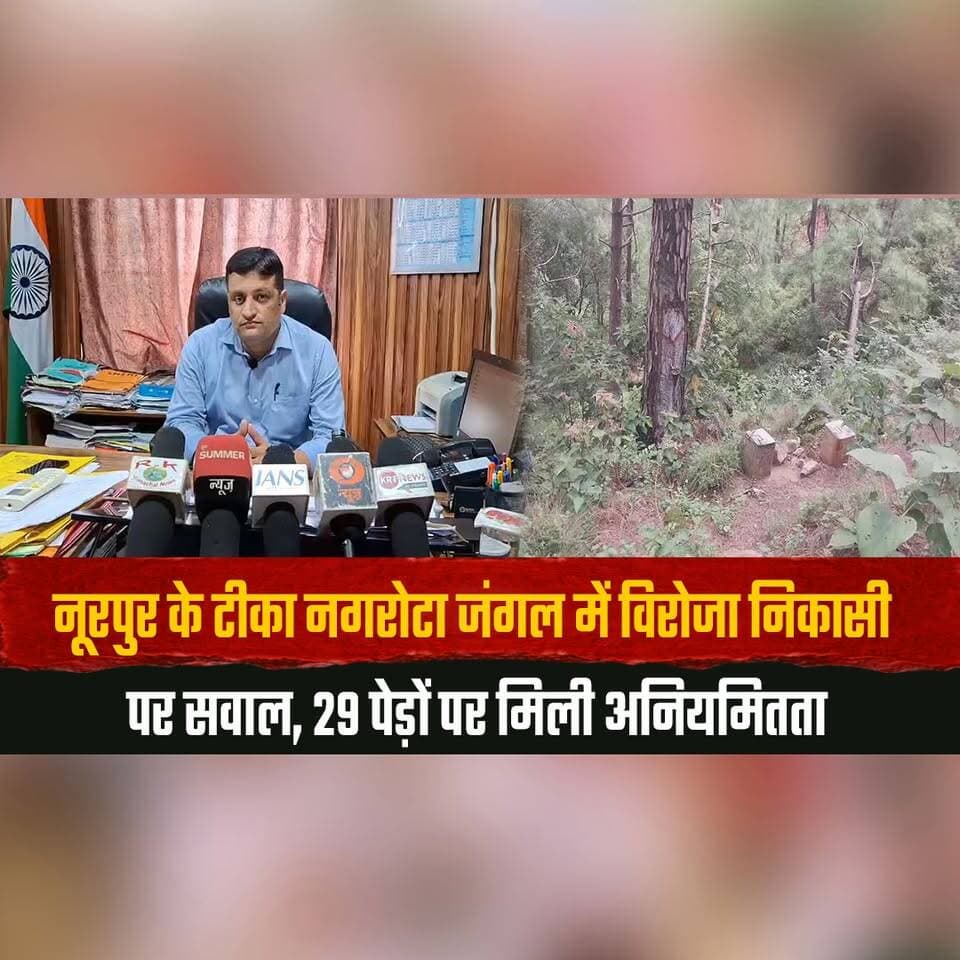 नूरपुर के टीका नगरोटा जंगल में विरोजा निकासी पर सवाल,
29 पेड़ों पर मिली अनियमितता
#Nurpur #TikaNagrota #HimachalPradesh #ForestDepartment #ForestNews #TreeIrregularities #VirojaExtraction #HimachalNews #EnvironmentalIssues #thesummernewshimachal
