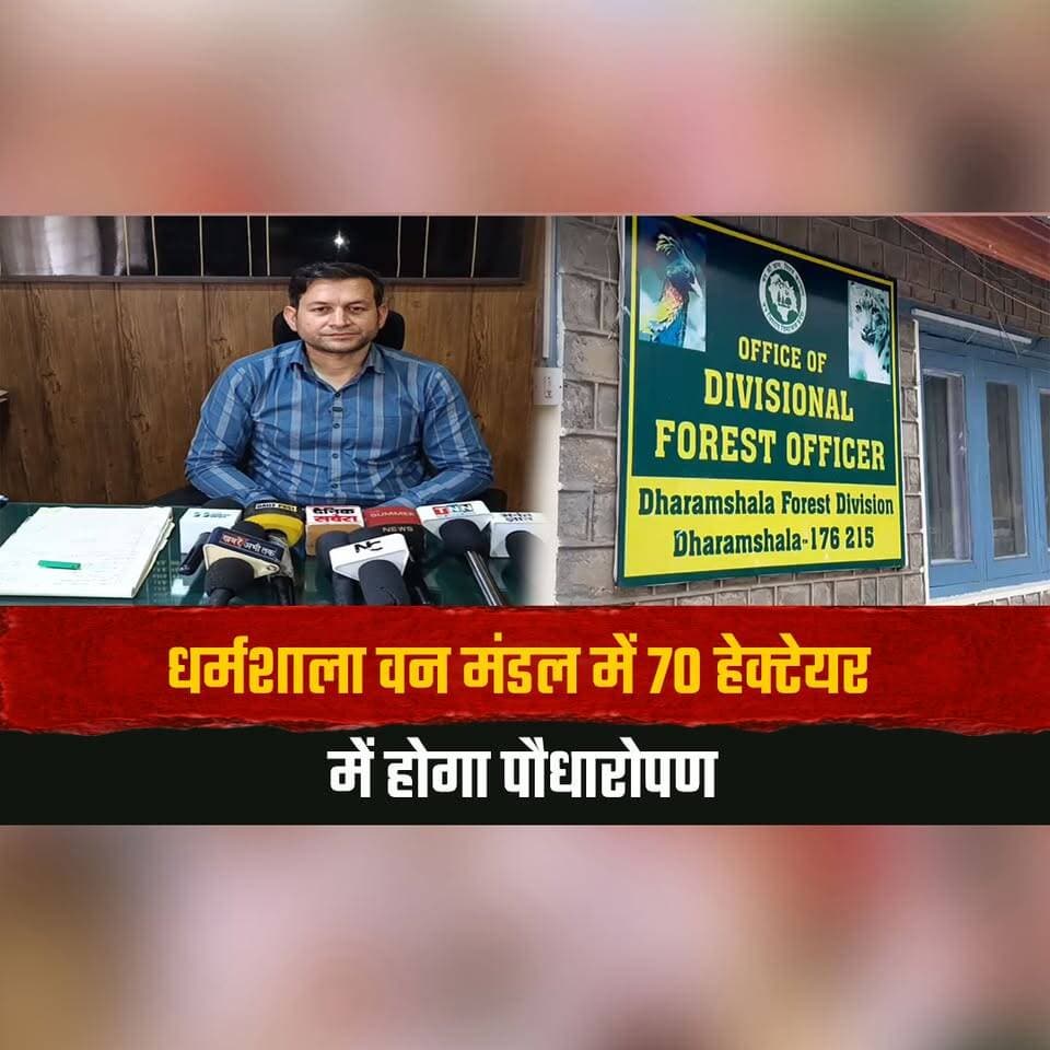धर्मशाला वन मंडल में 70 हेक्टेयर में होगा पौधारोपण
50% से अधिक पौधे जीवित रहने पर महिला-युवक मंडलों को मिलेगा ₹1 लाख तक प्रोत्साहन
#Dharamshala #HimachalPradesh #TreePlantation #Afforestation #GreenHimachal #ForestDepartment #EnvironmentalProtection #YouthClubs #WomenEmpowerment #HimachalNews #thesummernewshimachal