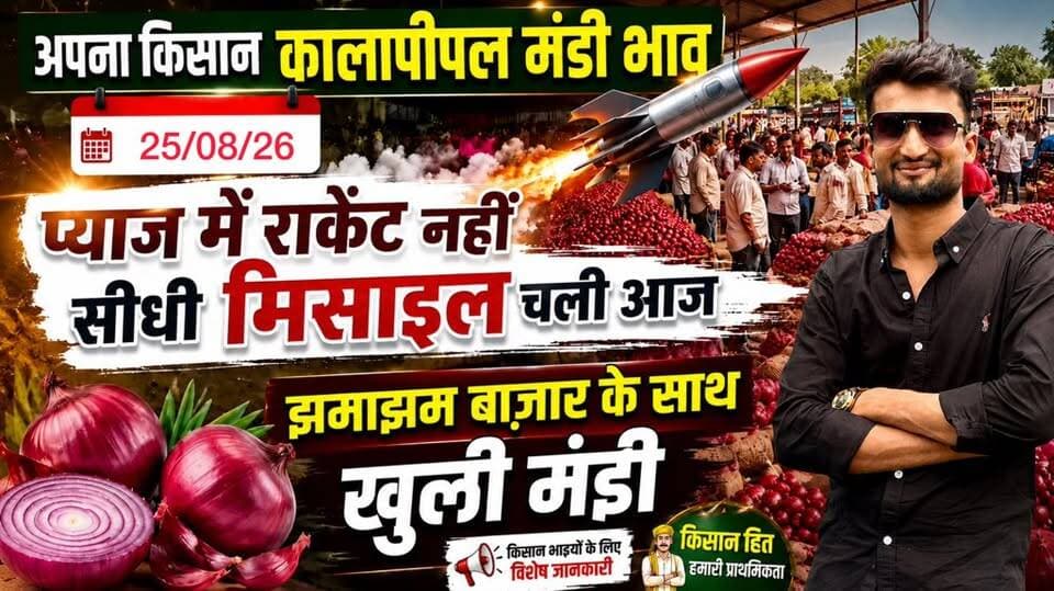 25 अगस्त 2026 कालापीपल मंडी भाव