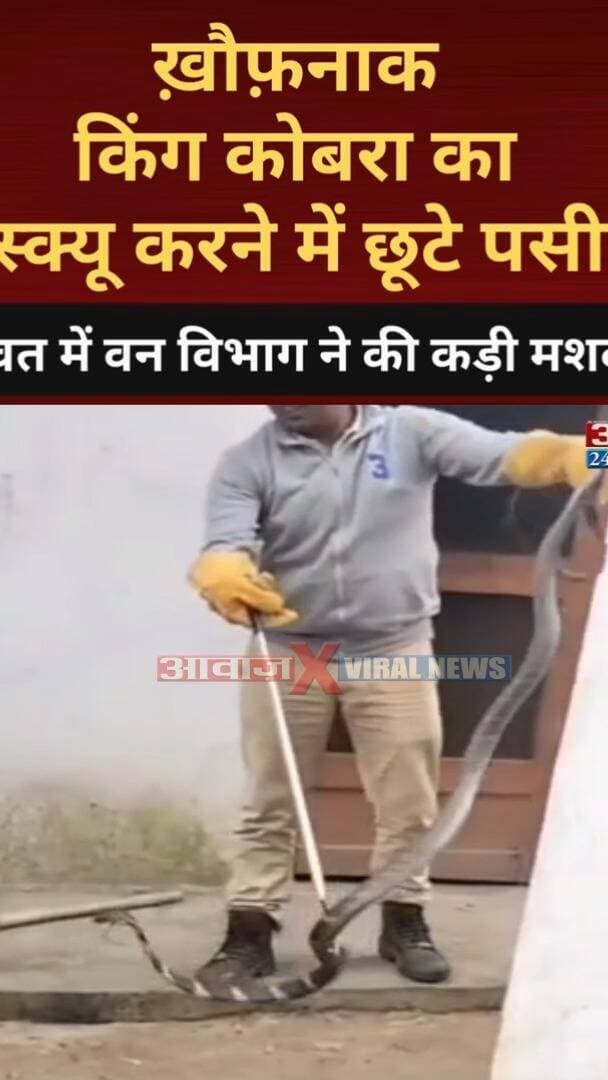 ख़ौ#फ़नाक #किंग_कोबरा का #रेस्क्यू करने में छूटे पसीने! #चंपावत में वन कर्मियों ने की कड़ी मशक्कत
#AwaazIndiaNational #Uttarakhand #Champawat #KingCobra #Snake #ViralVideo #ForestDepartment #ViralNews