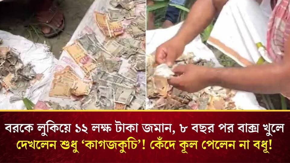 বরকে লুকিয়ে ১২ লক্ষ টাকা জমান, ৮ বছর পর বাক্স খুলে দেখলেন শুধু ‘কাগজকুচি’! কেঁদে কূল পেলেন না বধূ!