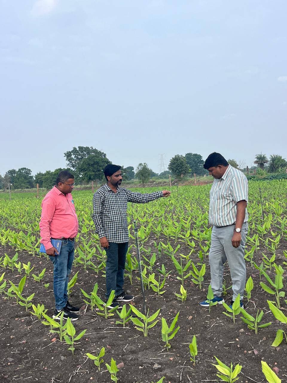 उप संचालक ने विभिन्न ग्रामों का भ्रमण कर योजनाओं की प्रगति का लिया जायजा
कृषकों को प्रसंस्करण, यंत्रीकरण एवं उन्नत उद्यानिकी फसलों के संबंध में दिया मार्गदर्शन
नीमच, 25 अगस्त 2026। उप संचालक उद्यान, जिला नीमच द्वारा विकासखंड नीमच के विभिन्न ग्रामों का भ्रमण कर उद्यानिकी विभाग की योजनाओं के अंतर्गत संचालित गतिविधियों, कृषि प्रसंस्करण इकाइयों तथा विविध उद्यानिकी फसलों का अवलोकन किया गया। इस दौरान संबंधित हितग्राहियों एवं कृषकों को आवश्यक तकनीकी मार्गदर्शन प्रदान किया गया।
भ्रमण के दौरान ग्राम झांझरवाड़ा औद्योगिक क्षेत्र में श्री रुद्र प्रताप सिंह द्वारा स्थापित प्रधानमंत्री सूक्ष्म खाद्य प्रसंस्करण उद्यम उन्नयन योजना अंतर्गत संचालित मसाला एवं हर्बल प्रोसेसिंग यूनिट का निरीक्षण किया गया। यूनिट की गतिविधियों का अवलोकन कर संचालक को आवश्यक मार्गदर्शन प्रदान किया गया।
इसके पश्चात ग्राम उगरान में बागवानी यंत्रीकरण योजना के अंतर्गत कृषक श्री सीताराम गायरी के ट्रैक्टर का सत्यापन किया गया। ग्राम पंचायत फोफलिया में ‘एक पंचायत-एक उद्योग’ पहल के संबंध में ग्रामीणों को संबोधित करते हुए योजना से संबंधित जानकारी दी गई तथा स्थानीय स्तर पर उद्यमिता एवं रोजगार के अवसरों के संबंध में मार्गदर्शन दिया गया।
भ्रमण के अंतिम चरण में ग्राम जीरन में श्री पवन पाटीदार के फार्म का भ्रमण कर विभिन्न फसलों का अवलोकन किया गया। यहां हल्दी, सफेद मूसली, रोजेल, स्टीविया एवं संतरा फसल का निरीक्षण करते हुए कृषक को फसल प्रबंधन एवं उत्पादन से संबंधित आवश्यक तकनीकी मार्गदर्शन प्रदान किया गया।
उद्यानिकी विभाग के इस क्षेत्रीय भ्रमण का उद्देश्य योजनाओं के क्रियान्वयन का मैदानी स्तर पर अवलोकन करने के साथ कृषकों को उनकी आवश्यकता के अनुरूप तकनीकी मार्गदर्शन उपलब्ध कराना रहा।
CM Madhya Pradesh
Jansampark Madhya Pradesh
Department of Horticulture, Madhya Pradesh
Panchayat, Rural Development and Social Welfare Department of Madhya Pradesh
#Neemuch
#नीमच