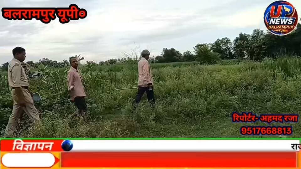 तेंदुए ने भैंस के पड़िया को बनाया शिकार
बलरामपुर के ललिया क्षेत्र के रमनगरा गनवारिया गांव में सोमवार शाम तेंदुए ने नहर किनारे चर रही करीब डेढ़ साल की भैंस के पड़िया को उठा लिया। झाड़ियों में ले जाकर उसे अपना आहार बना लिया।
घटना के बाद ग्रामीणों में दहशत है। ग्रामीणों का कहना है कि तेंदुआ कई महीनों से क्षेत्र में घूम रहा है और पहले भी कुत्तों व बकरियों को शिकार बना चुका है।
वन विभाग की टीम ने मौके पर पहुंचकर कैमरा लगाया है। पिंजरा लगाने की तैयारी की जा रही है।
#Balrampur #Lalia #Leopard #तेंदुआ #बलरामपुर #ललिया #BreakingNews #LeopardAttack #ViralNews #UPNews #WildlifeNews #SocialMediaNews #वन #वनविभाग #बनकटवारेंज #दहशत #माहौल #मवेशी #शिकार #highlight #TopFans #trendingnews #viralpost जिला प्रशासन बलरामपुर
