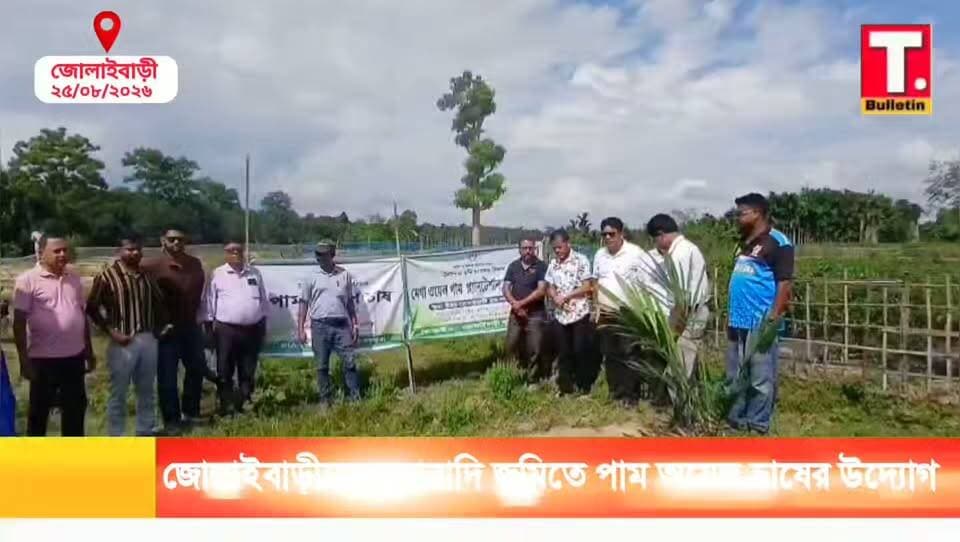 অকেজো জমিতে পাম অয়েল চাষ, জোলাইবাড়ীতে কৃষকদের আয় বাড়ানোর উদ্যোগ।
#Jolaibari #Farmers #PalmOilCultivation
#Agriculture #TripuraBulletin