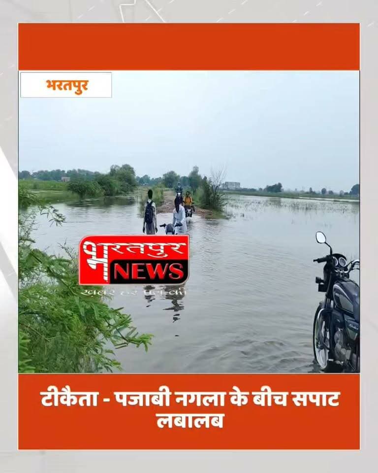 भरतपुर - जिले में मानसूनी बारिश के चलते कई स्थानों पर बाढ़ जैसे हालात पैदा हुए हैं, ठीक है था और पंजाबी नगला के बीच चलने वाली सपाट लवालब है ऊपर से पानी बह रहा है.