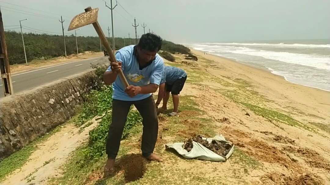 #ଶୋଭା_ଫାଉଣ୍ଡେସନ ପକ୍ଷରୁ #ତାଳମଞ୍ଜି_ରୋପଣ।
ଜୈବ ବିବିଧତା, ଜୀବନ ଜୀବିକା ସୁରକ୍ଷା, ବଜ୍ରପାତ ପ୍ରଶମନ, ସମୁଦ୍ର କୁଳ ସୁରକ୍ଷା, ସମୁଦ୍ର କ୍ଷୟ ସୁରକ୍ଷା, ଉପକୂଳ ସୁରକ୍ଷା, ପୁରୀ କୋଣାର୍କ ମେରାଇନ ଡ୍ରାଇଭ୍ ସୁରକ୍ଷା, ପରିବେଶ ସୁରକ୍ଷା, ପ୍ରାକୃତିକ ବାଲୁକା ବନ୍ତ ସୁରକ୍ଷା ଲକ୍ଷ ନେଇ କୋଣାର୍କ ଏନଏସି ଅନ୍ତର୍ଗତ ଚନ୍ଦ୍ରଭାଗା ସମୁଦ୍ର କୂଳରେ ଶୋଭା ଫାଉଣ୍ଡେସନ ପକ୍ଷରୁ ୫ ଶହରୁ ଅଧିକ ତାଳମଞ୍ଜି ରୋପଣ କରାଗଲା। ଶୋଭା ଫାଉଣ୍ଡେସନ ଅଧକ୍ଷ ଜ୍ଞାନ ରଞ୍ଜନ ବିଶ୍ଵାଳଙ୍କ ସହ ସାମାଜିକକର୍ମୀ ସାଥି ବିଦ୍ୟାଧର ବେହେରା ଓ ସ୍ୱେଚ୍ଛାସେବୀ ସିଲୁ ଏହି ତାଳ ମଞ୍ଜି ରୋପଣ କରିଥିଲେ। ଆଗାମୀ ଦିନରେ ଆହୁରି ରୋପଣ କରାଯିବ।
@highlight #ତାଳମଞ୍ଜି #ClimateAction #climatejustice #Climatecrisis #climatewarrior #savecoastal #ProtectNature #sovafoundation #konark