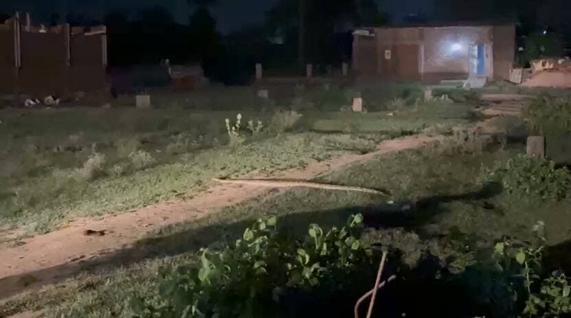 सटई रोड गल्ला मंडी के पीछे दिखा करीब 12 फीट लंबा अजगर!
सटई रोड स्थित गल्ला मंडी के पीछे एक भारी-भरकम अजगर सांप दिखाई देने से आसपास मौजूद लोगों में हलचल मच गई। बताया जा रहा है कि अजगर की लंबाई करीब 12 फीट थी। मौके पर लोगों की भीड़ जुट गई।
