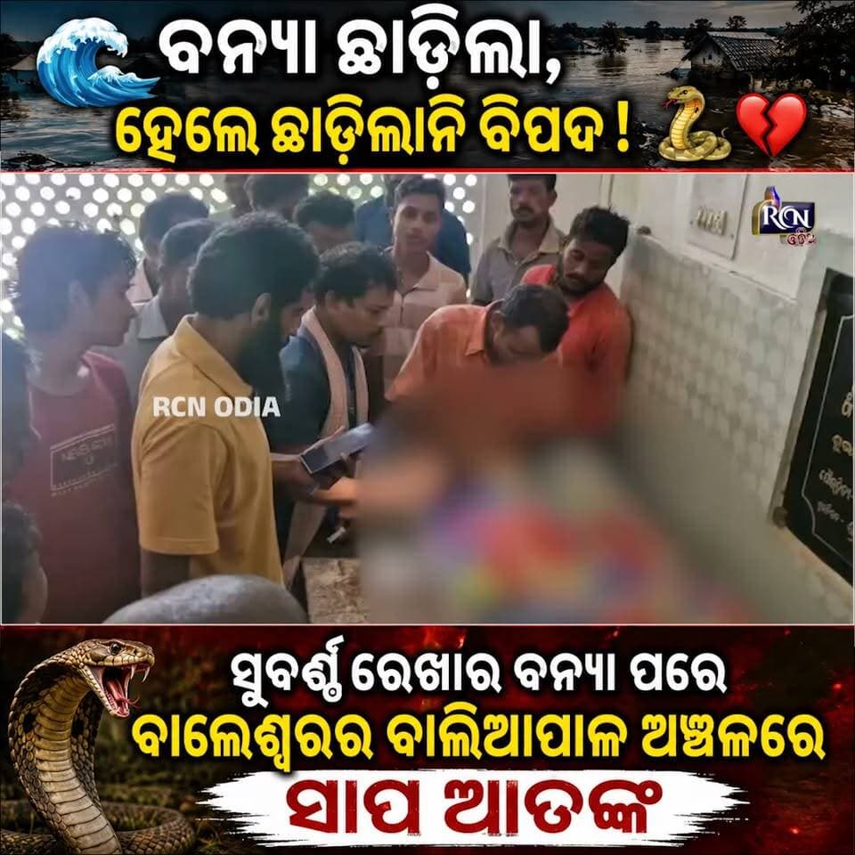🌊 ବନ୍ୟା ଛାଡ଼ିଲା, ହେଲେ ଛାଡ଼ିଲାନି ବିପଦ! 🐍💔
ସୁବର୍ଣ୍ଣରେଖାର ବନ୍ୟା ପରେ ବାଲେଶ୍ୱରର ବାଲିଆପାଳ ଅଞ୍ଚଳରେ ସାପ ଆତଙ୍କ। ବିଷ୍ଣୁପୁର ଗ୍ରାମର ନାବାଳିକା ନନ୍ଦିତା ପ୍ରମାଣିକ ସାପ କାମୁଡ଼ାରେ ଜୀବନ ହରାଇଛନ୍ତି। 😢
ବନ୍ୟା ପରେ ଏଭଳି ଘଟଣା ପରିବାର ପାଇଁ ଆଣିଛି ଅପୂରଣୀୟ ଦୁଃଖ। ଗରିବ ପରିବାରକୁ ତୁରନ୍ତ ସରକାରୀ ସହାୟତା ଯୋଗାଇଦେବାକୁ ଦାବି। 🙏
ନନ୍ଦିତାଙ୍କ ଅକାଳ ବିୟୋଗରେ ଗଭୀର ଶୋକ। 💐
#Balasore #Baliapal #FloodUpdate #SnakeBite #OdishaNews #FloodAffected #NanditaPramanik #rcnodia #rcnodianews #rcnupdates